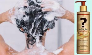 best shampoo brands