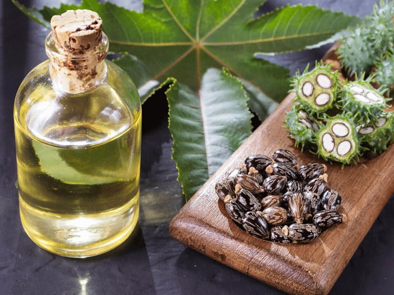 How to use Castor oil for hair growth? 