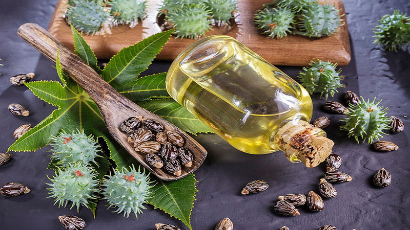 Nutritional value of castor oil