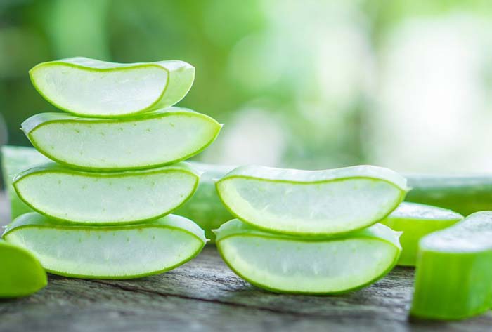 The 05 Ingredients of a Toner: Aloe Vera